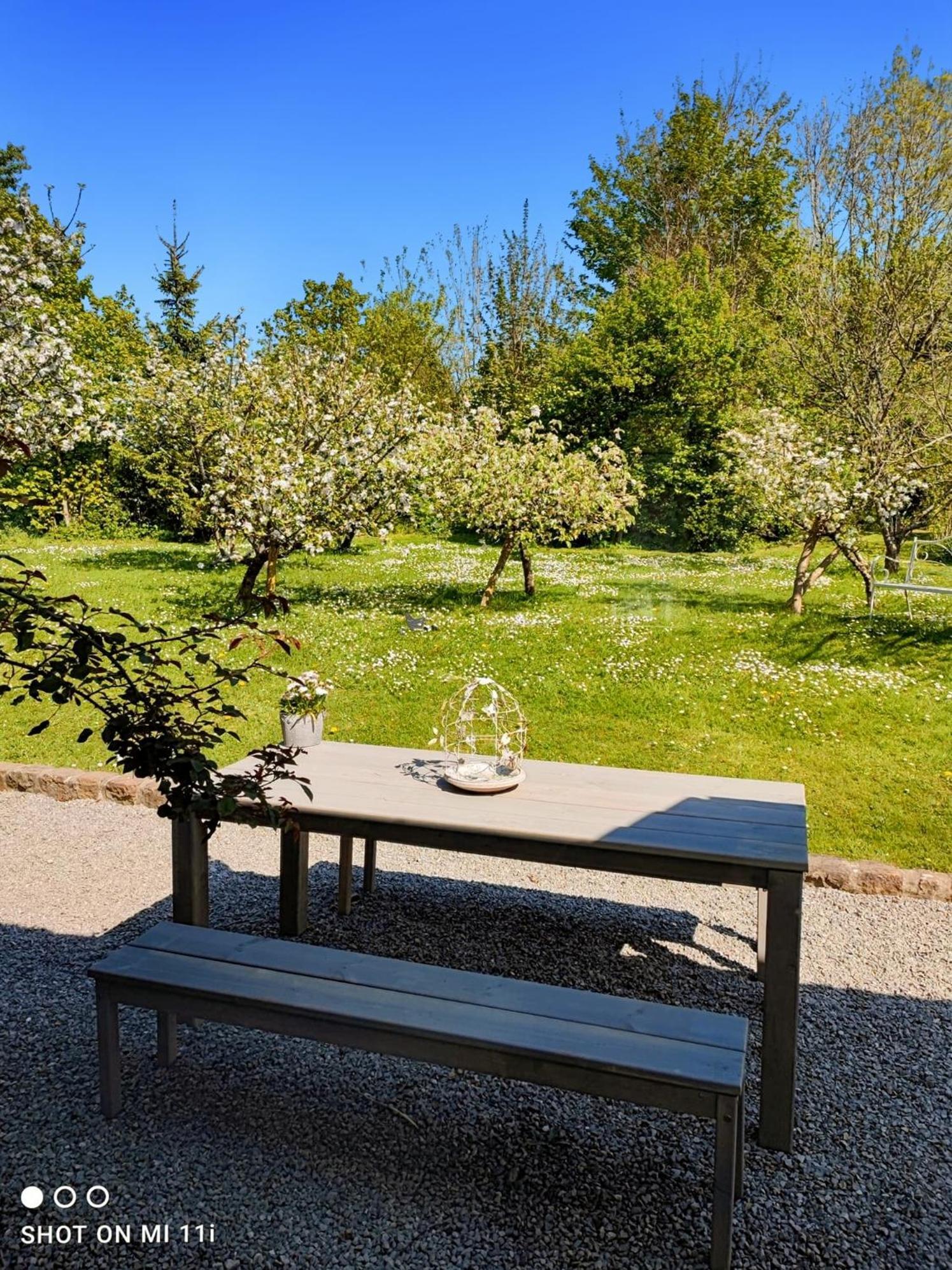 Le Clos De La Rose Gite Bien Etre Wirwignes Exterior photo
